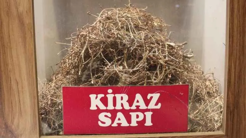 Herkes çöpe atıyor ama sağlığa çok faydası var