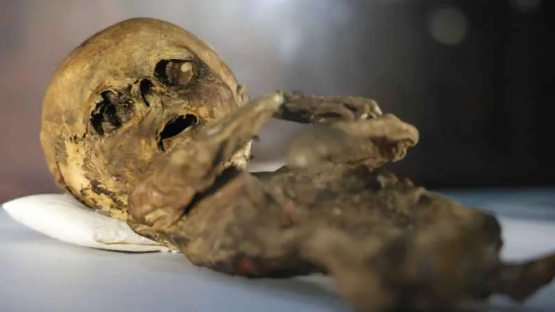 Türkiye'nin tek mumya müzesinde 12. yüzyılın mumyaları sergileniyor 