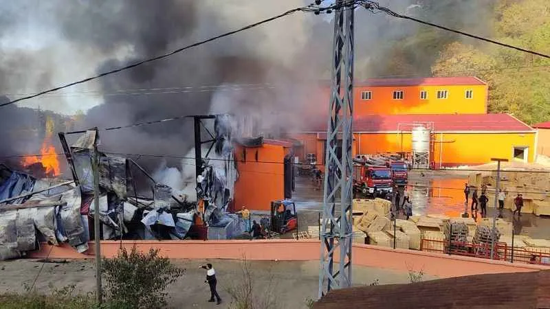 Balık fabrikasında yangın