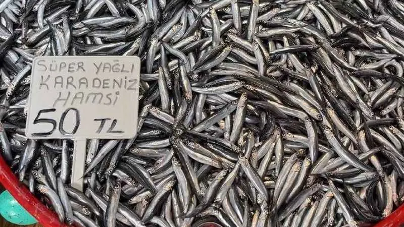 Marmara hamsisinden sonra Karadeniz hamsisinde de bolluk yaşanıyor