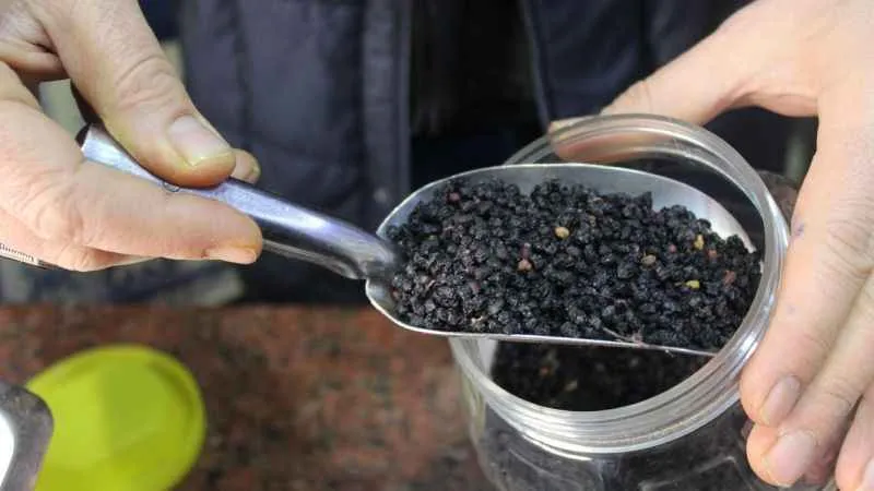 Kış aylarında kara mürver çayı tavsiyesi