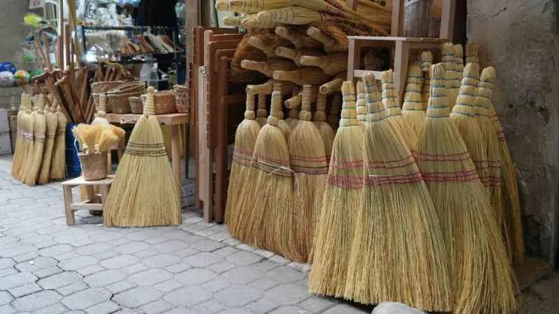 Çalı süpürgesi akıllı robot süpürgelere direniyor