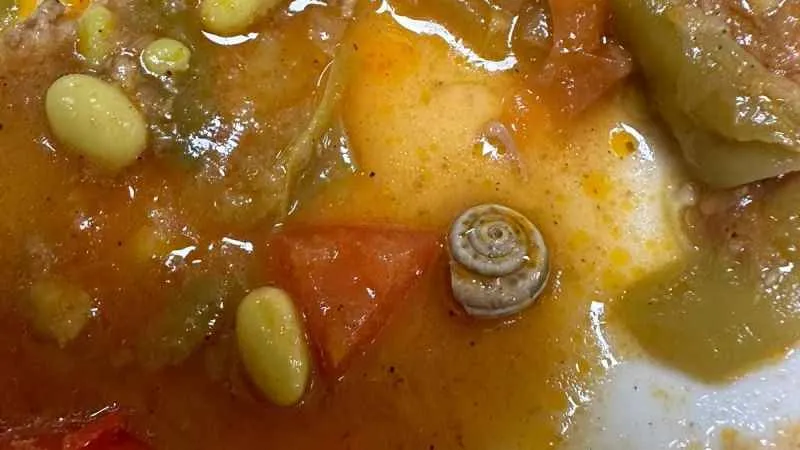 Hastane yemeğinde ‘salyangoz’ çıktı iddiası soruşturuluyor