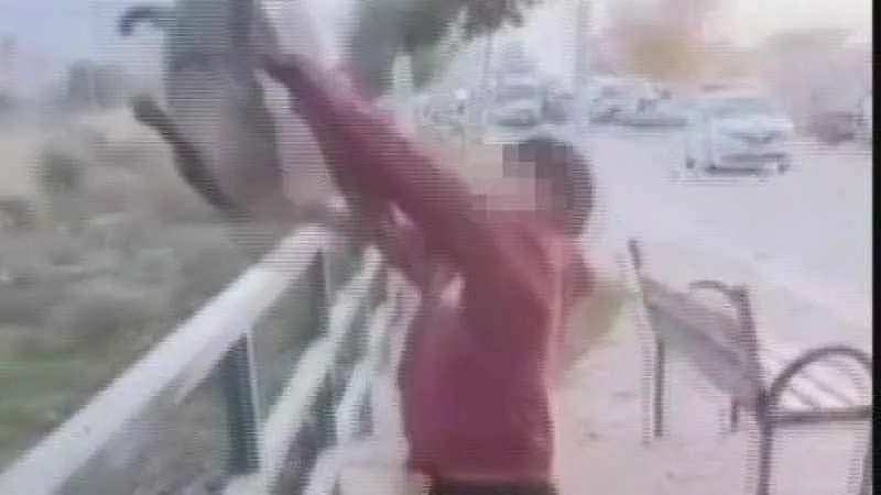 TikTok'ta paylaşmak için kediyi ırmağa atmışlardı, gözaltına alındılar