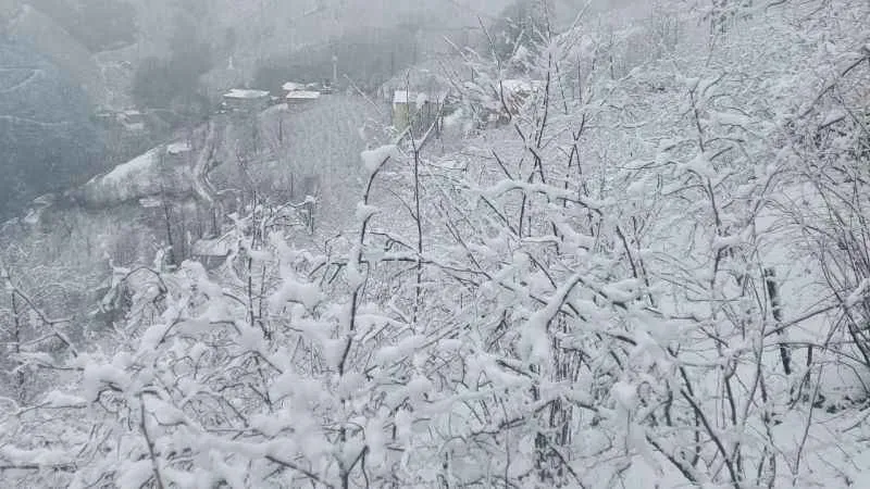 Ordu’nun yüksek kesimlerinde kar yağışı etkili oldu