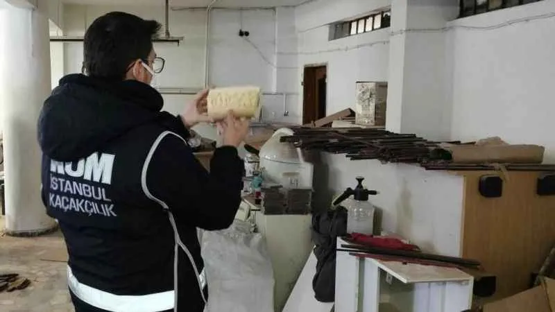 İstanbul’da kaçakçılık operasyonu: Fildişi, antilop, mamut ve geyik boynuzları ele geçirildi