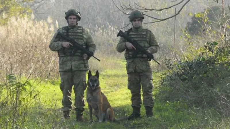 TSK’nın devriye köpekleri birliklerin emniyetine destek sağlıyor