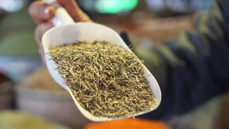 Gribal enfeksiyonlara karşı doğal ilaç: Zahter çayı