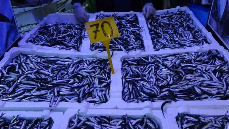 Hamsi fiyatı ikiye katlandı