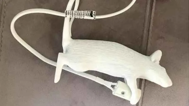 O ürünler hakkında toplatılma kararı!