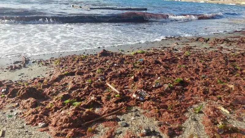 Tekirdağ kıyıları kızıla büründü