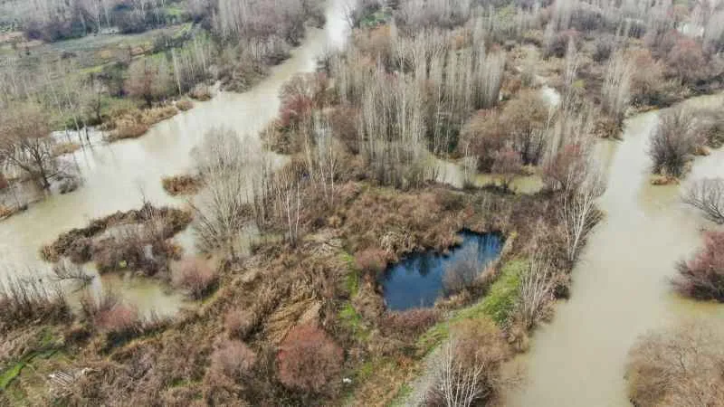 Dicle Nehri’ndeki canlı hayatı tehdit altında