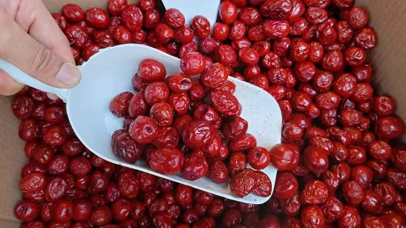 Hünnap tam bir vitamin deposu