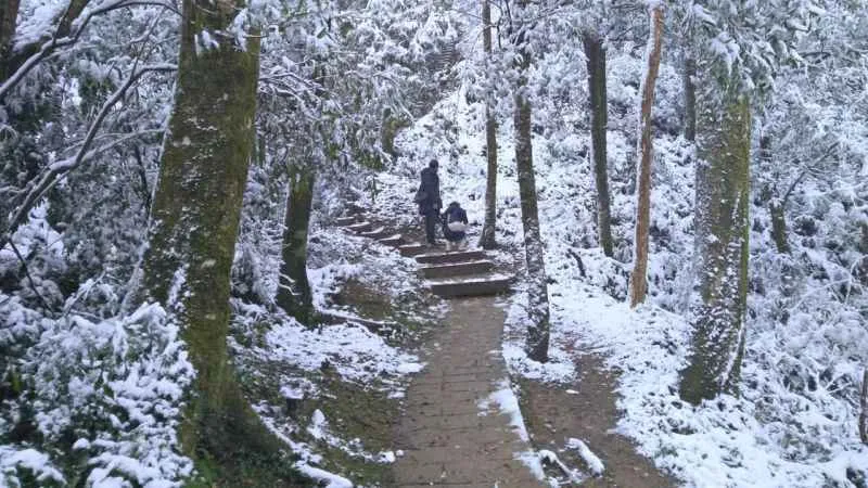 Tayvan'da soğuk hava yüzünden iki günde 145 kişi öldü