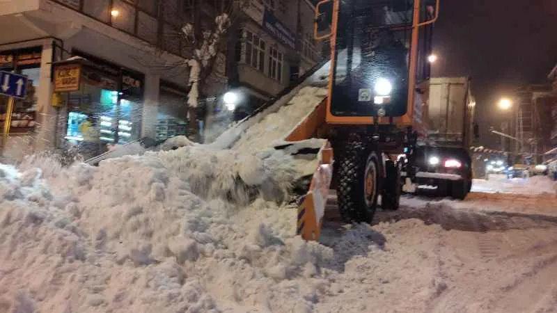 Ardahan'da kar esareti
