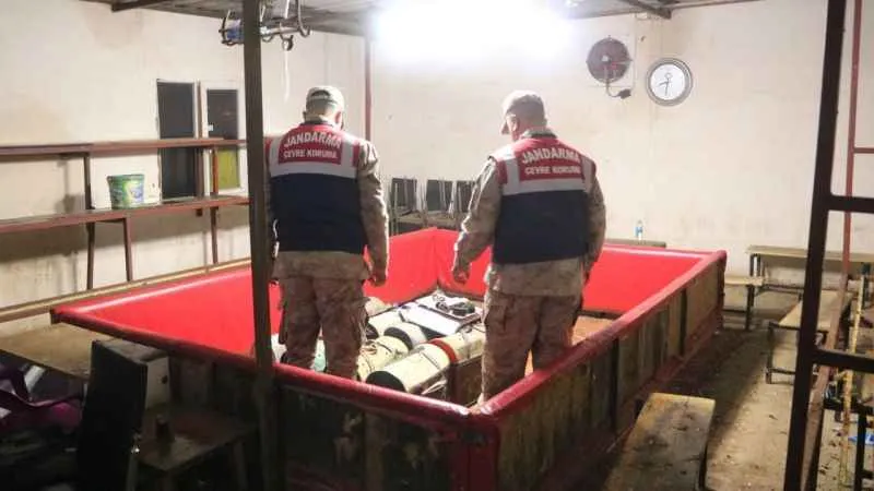  Horoz dövüşüne, 218 bin 450 TL idari para cezası