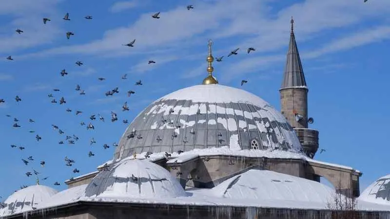 Erzurum -24,6 ile dondu
