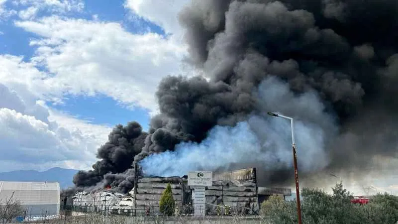 İzmir'de lojistik firmasının soğuk hava deposunda büyük yangın