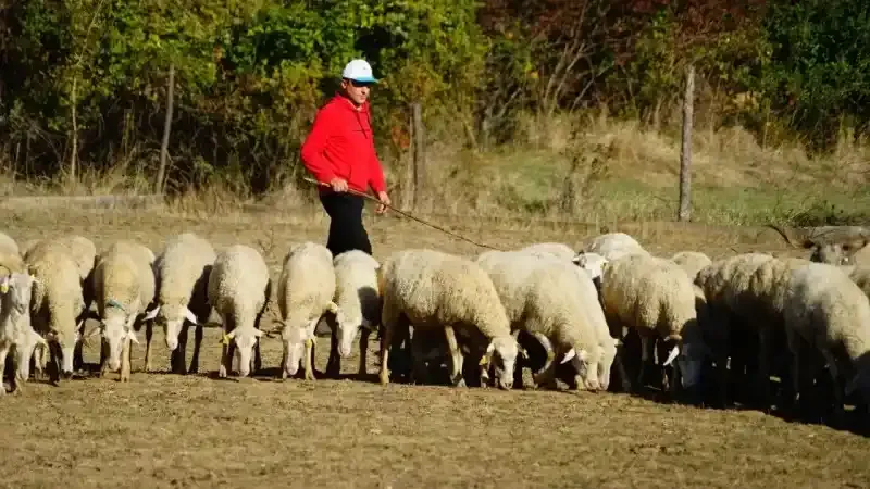 Şehir hayatını bırakıp köye yerleşti: Devlet desteği ile gelirini üç katına çıkardı
