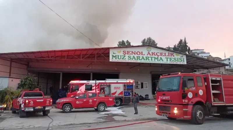 Alanya'da mobilya deposu yandı, alevler muz ve çiçek serasına sıçradı