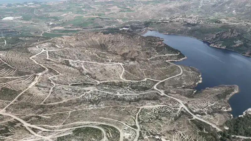 Çanakkale'de yanan ormanlar yangına dayanıklı fidanlarla yeniden yeşerdi