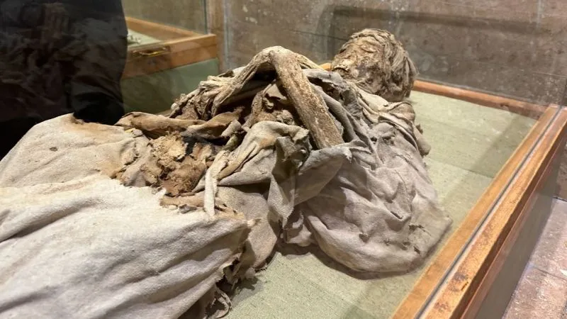 Bin Yıllık Mumyalara Ziyaretçi Akını