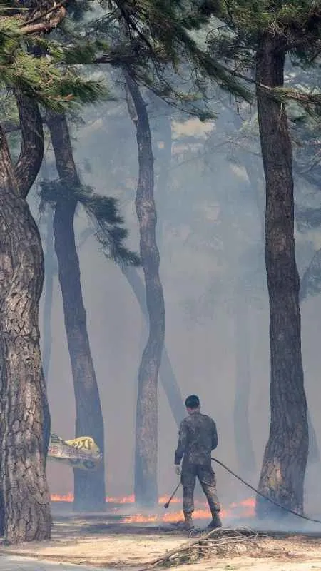 Güney Kore'deki orman yangını devam ediyor: 1 ölü, 3 yaralı