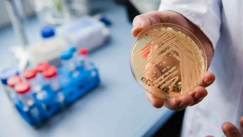 Yapay zeka ölümcül mantara karşı!