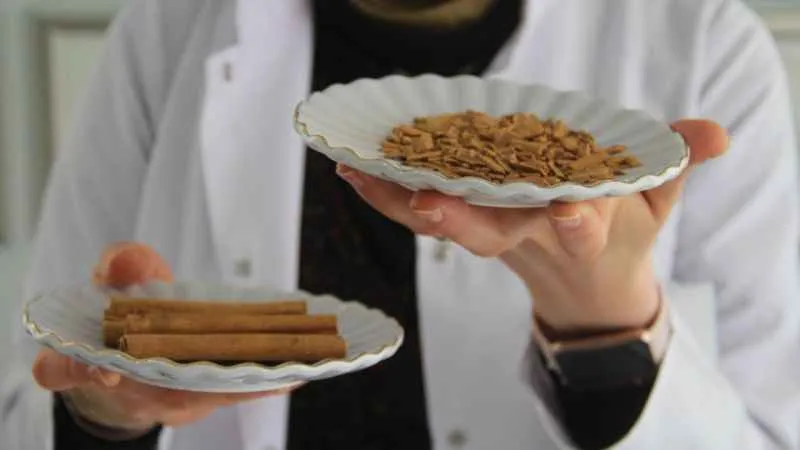 Yanlış tüketilen tarçın, sağlığı bozuyor