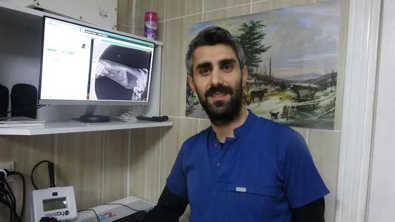 Evcil hayvanınızda bu şikayetlere dikkat!