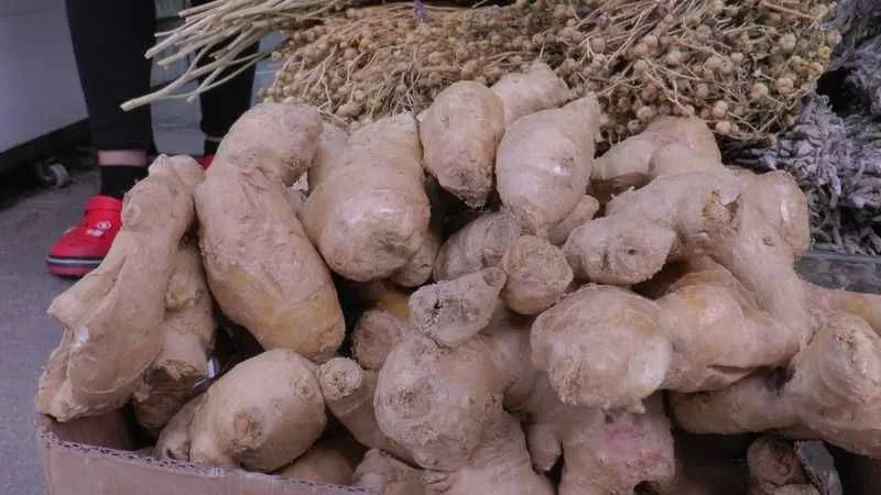 Yaz nezlesini zencefille atlatın