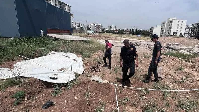 Yavru köpeği jandarmanın dikkati kurtardı