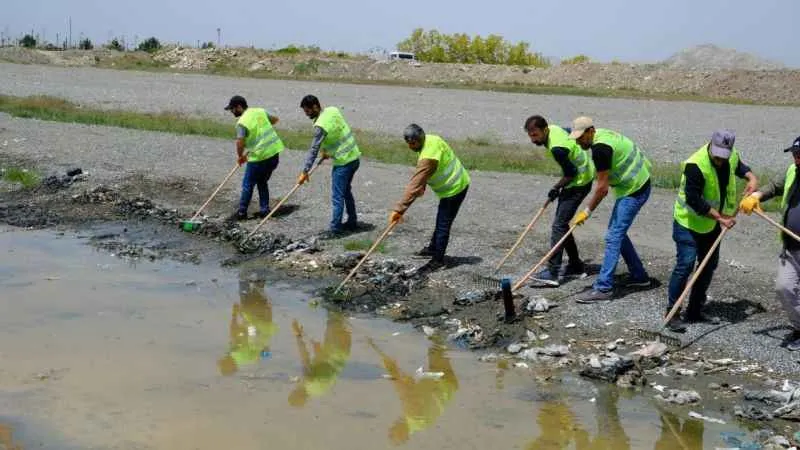 Van Gölü sahilinde çevre temizliği