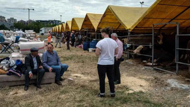 Kurban pazarında ilk günden sıkı pazarlıklar başladı