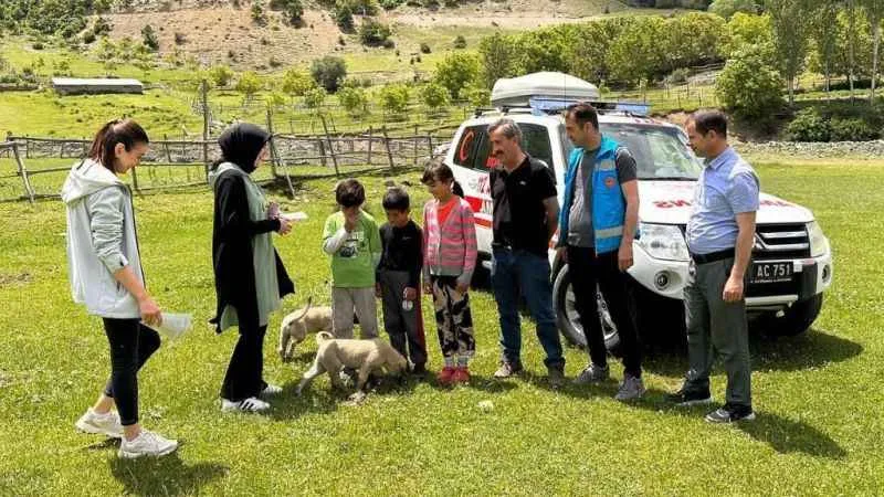 Doğaya çıkınca kenelere dikkat!