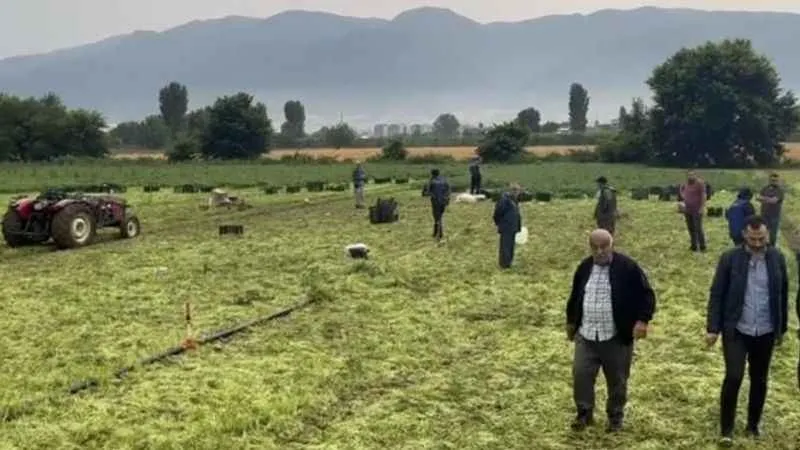 Bursa'da Nergüze Kartal hayatını kaybetti