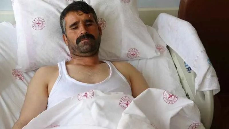 Kurbanlık seçerken hayvan tepti