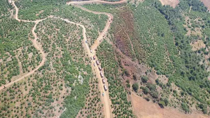 Marmaris'te yanan alanda ceset bulundu