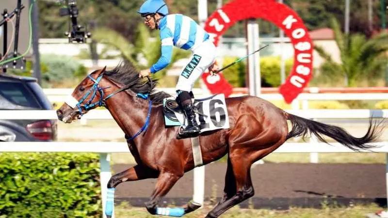 97. Gazi Koşusu’nun kazananı Urfa Aslanı oldu