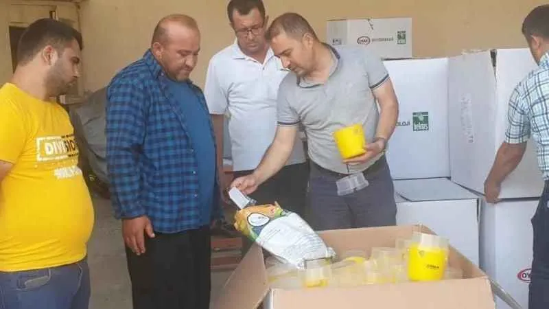 Akdeniz sineğine karşı çiftçilere tuzak dağıtıldı