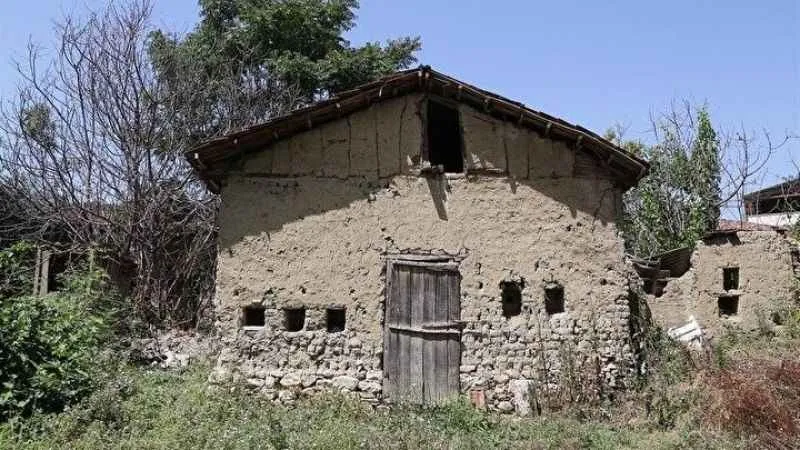 Bu ev doğal peteklerden oluşuyor!