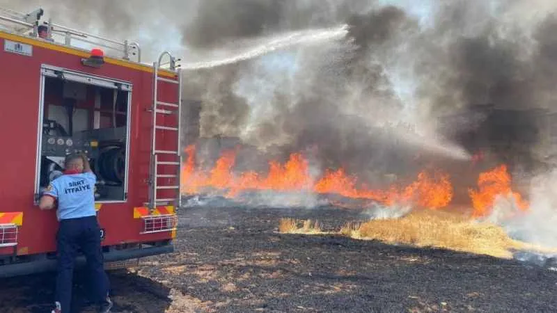 Siirt’te 130 dekar tarım arazisi küle döndü
