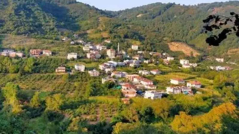 Hırsızlar, Alaplı'da boş evlere dadandı