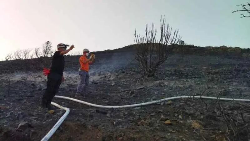 Datça’daki orman yangınında 25 hektarlık alan zarar gördü