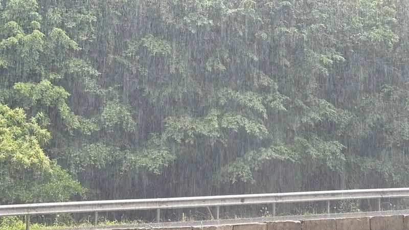 Türkiye'de en çok yağışın düştüğü il Düzce oldu