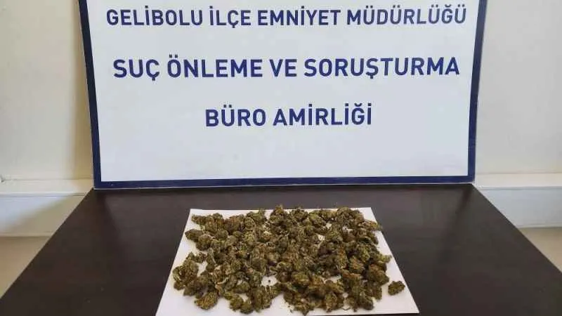 Gelibolu’da sırt çantasından 90 gram skunk çıktı: 2 gözaltı