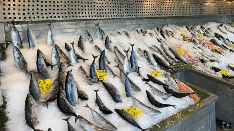 Kırmızı ete ara vererek balık tüketin