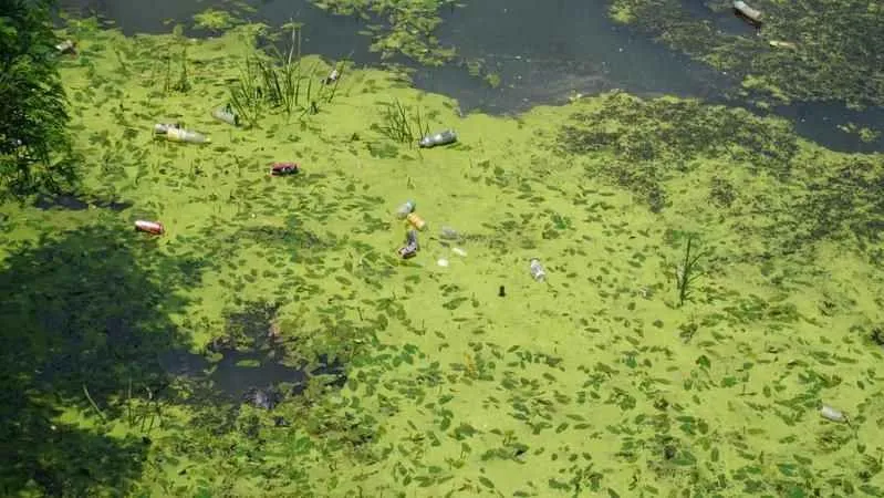 Edirne'de Tunca Nehri plastik atıklar ve çöplerle kaplandı