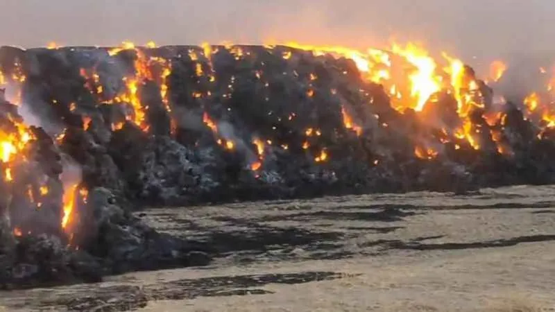 Şanlıurfa'da 5 bin ton saman kül oldu