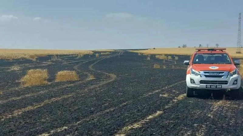 Tekirdağ’da 15 dönüm buğday alevlere teslim oldu
